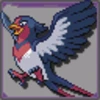 Swellow