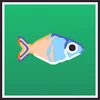 Boseman Rainbowfish Collector