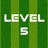 Complete Level 5