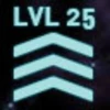 Level 25