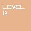 Level 13