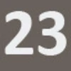 23