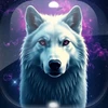 Level 13